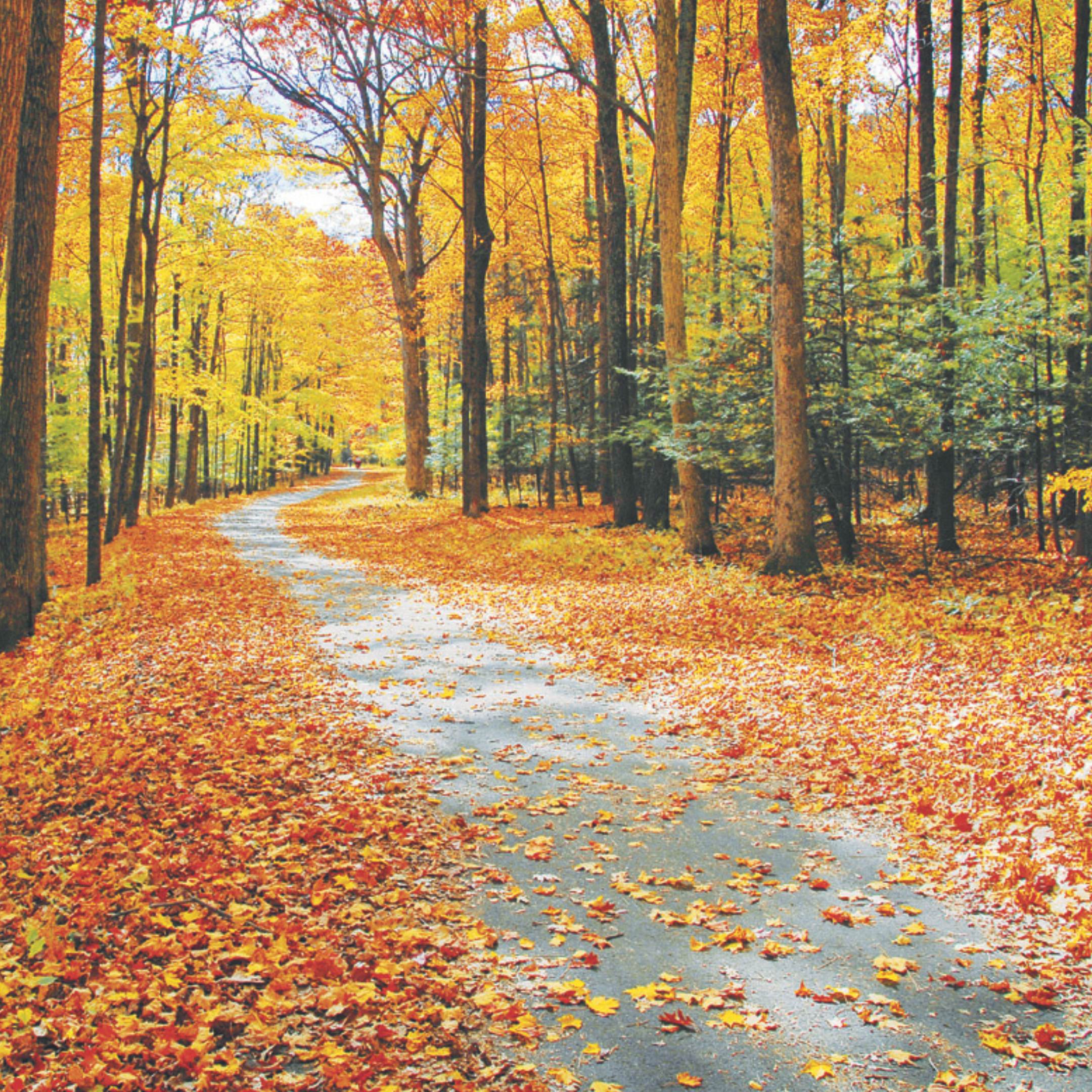 imagen alusiva a El fuego del Espíritu Divino en tu corazón