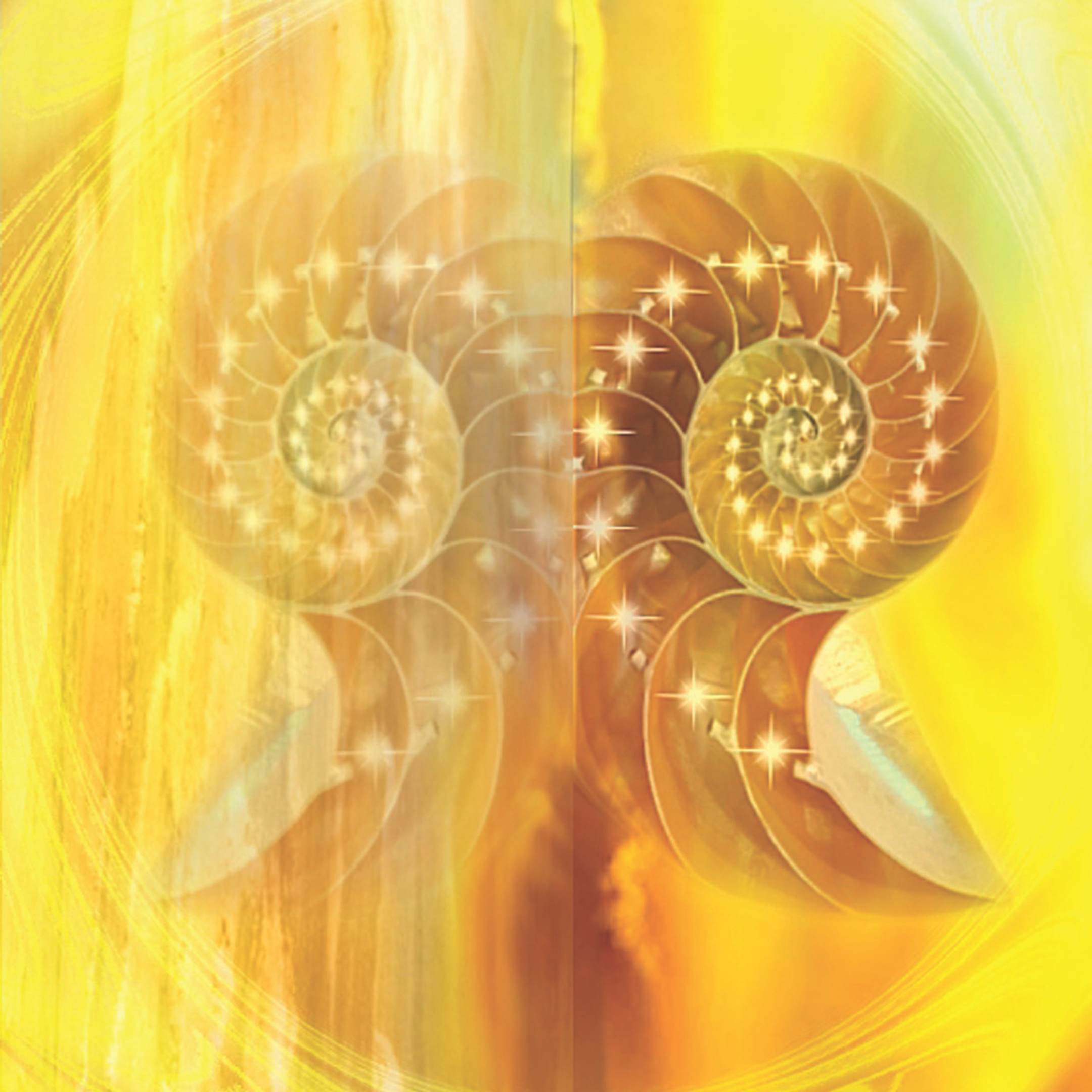 imagen alusiva a Sabiduría espiritual acerca de la Ley de la Economía